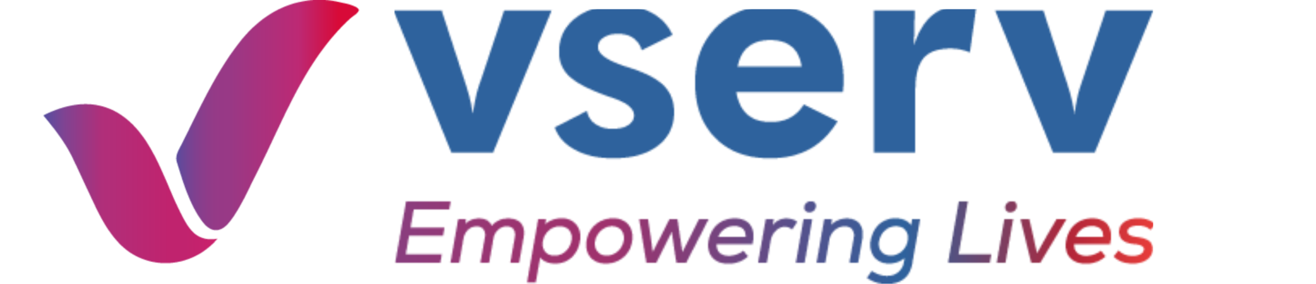 Vserv Capital Services